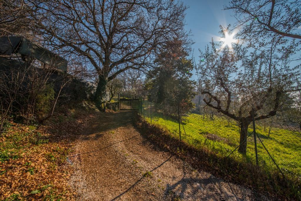 Appartamento Da Bacchetta Assisi Camera foto