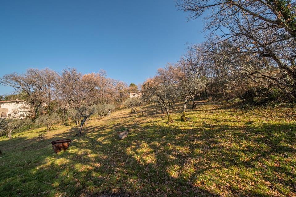 Appartamento Da Bacchetta Assisi Esterno foto